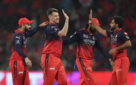 CSK की कड़ी प्रतिक्रिया—‘डोसा, इडली, सांभर, चटनी’ गाने पर जताई नाराजगी