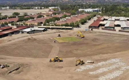 Olympics 2028: क्रिकेट की वापसी, पोमोना में होंगे मुकाबले