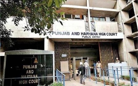 हाईकोर्ट सख्त: पंजाब सरकार को 15 दिन का अल्टीमेटम, तुरंत कार्रवाई के निर्देश