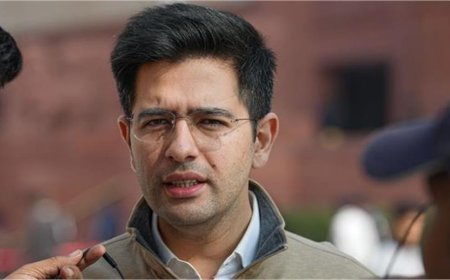 राष्ट्रपति से मुलाकात के बाद राघव चड्ढा का आरोप: “हमें दबाने की कोशिश की जा रही है”