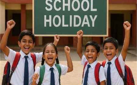 भीषण गर्मी के चलते बड़ा फैसला, 11 मई से 30 जून तक स्कूल बंद रखने का ऐलान