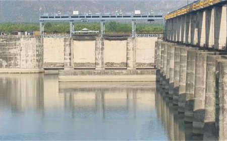 यमुनानगर में हथनीकुंड बैराज पर गहराया जल संकट, यूपी और वेस्टर्न यमुना कैनाल को कम पानी सप्लाई