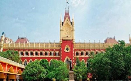 बकरीद से पहले कलकत्ता हाईकोर्ट की बड़ी टिप्पणी, कहा- गाय की कुर्बानी ईद का अनिवार्य हिस्सा नहीं