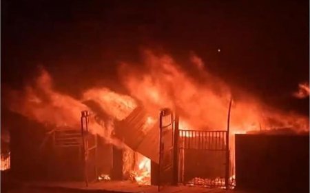 दिल्ली के शास्त्री पार्क फर्नीचर मार्केट में लगी भीषण आग, 300 से अधिक दुकानें जलकर खाक