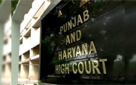 पेट्रोल संकट पर हाईकोर्ट सख्त: कर्मचारियों को वर्क फ्रॉम होम की अनुमति, जरूरी सेवाओं को प्राथमिकता
