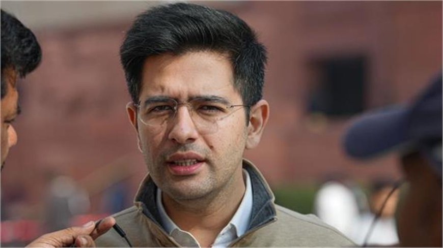 राष्ट्रपति से मुलाकात के बाद राघव चड्ढा का आरोप: “हमें दबाने की कोशिश की जा रही है”