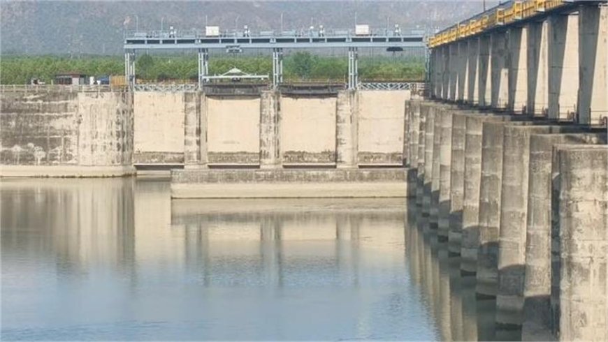 यमुनानगर में हथनीकुंड बैराज पर गहराया जल संकट, यूपी और वेस्टर्न यमुना कैनाल को कम पानी सप्लाई