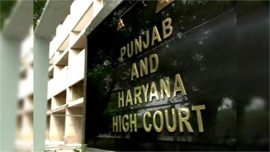 पेट्रोल संकट पर हाईकोर्ट सख्त: कर्मचारियों को वर्क फ्रॉम होम की अनुमति, जरूरी सेवाओं को प्राथमिकता