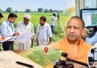 योगी सरकार में चकबंदी को रफ्तार, 8 साल में 3,192 गांवों का काम पूरा