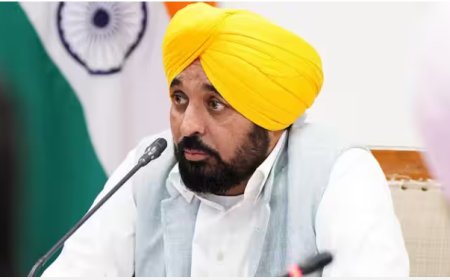 ट्रांसफर-पोस्टिंग और टेंडर में कथित भ्रष्टाचार की CBI जांच, हाईकोर्ट ने मांगी 2 महीने में रिपोर्ट