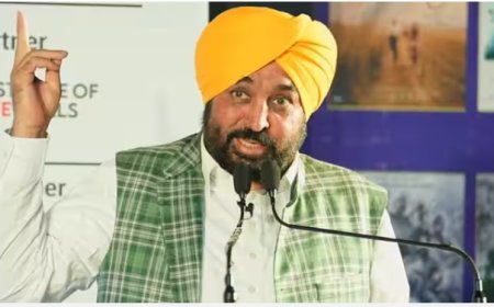 भगवंत मान के कैंप ऑफिस पर CBI की कार्रवाई से गरमाई पंजाब की सियासत