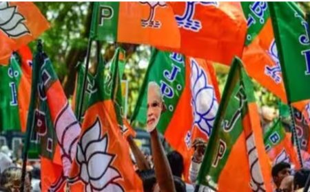 सिरौली कलां से किच्छा तक बदले सियासी समीकरण, स्थानीय निकाय चुनाव में BJP को नहीं मिली कामयाबी
