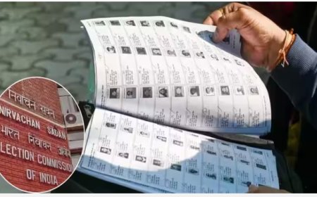दिल्ली में 47.56 लाख वोटरों के नामों की दोबारा जांच शुरू, BLO घर-घर जाकर करेंगे वेरिफिकेशन