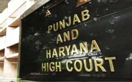 पेंशन विवाद: हाईकोर्ट ने मुख्य सचिव को व्यक्तिगत पेशी का आदेश दिया