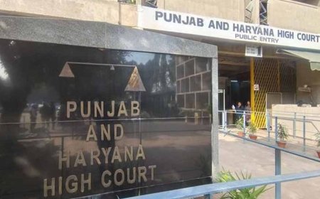 हरियाणा के 1984 से कार्यरत बेलदार का नियमितीकरण बरकरार, हाईकोर्ट से राहत