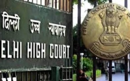 दिल्ली हाई कोर्ट: अचानक जानवर सामने आने पर ड्राइवर को दोषी नहीं ठहरा सकते