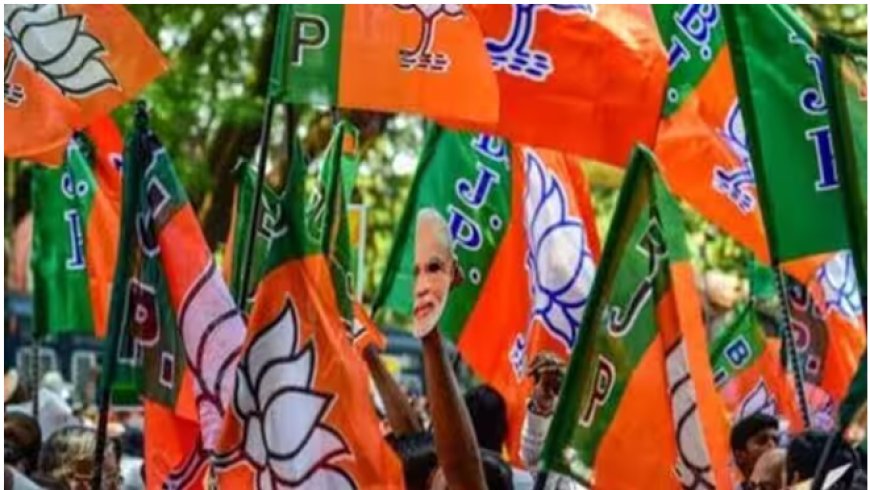 सिरौली कलां से किच्छा तक बदले सियासी समीकरण, स्थानीय निकाय चुनाव में BJP को नहीं मिली कामयाबी