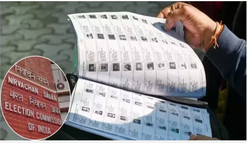 दिल्ली में 47.56 लाख वोटरों के नामों की दोबारा जांच शुरू, BLO घर-घर जाकर करेंगे वेरिफिकेशन